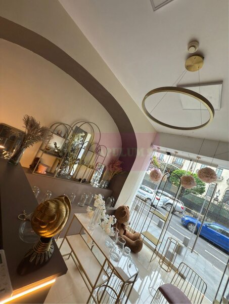 Spațiu Comercial Premium Calea Victoriei | Vad Intens